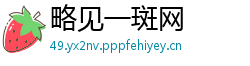 略见一斑网